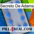 Adams Secret 21